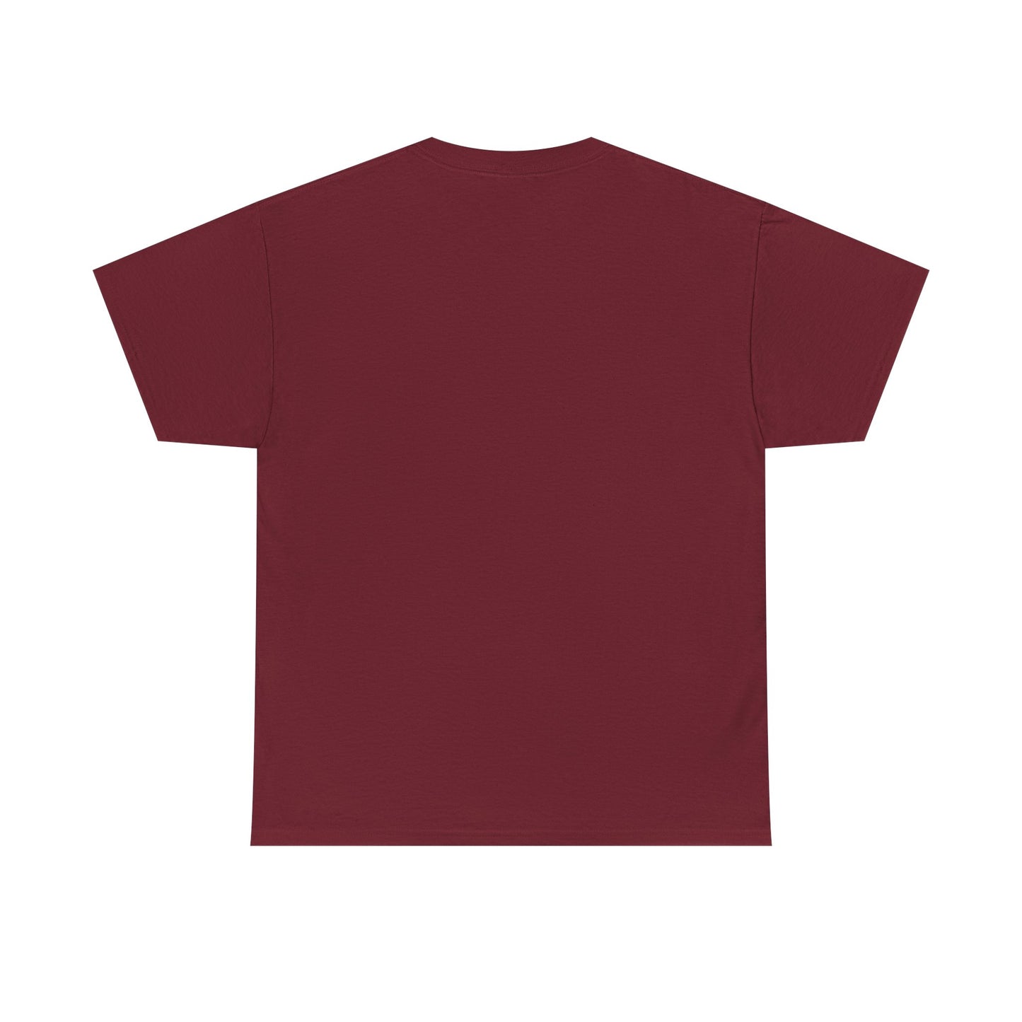 Divinely Protected T-Shirt, Spiritual Tee, Unisex Cotton Shirt|Manifestees Collection By SupremeXBeings