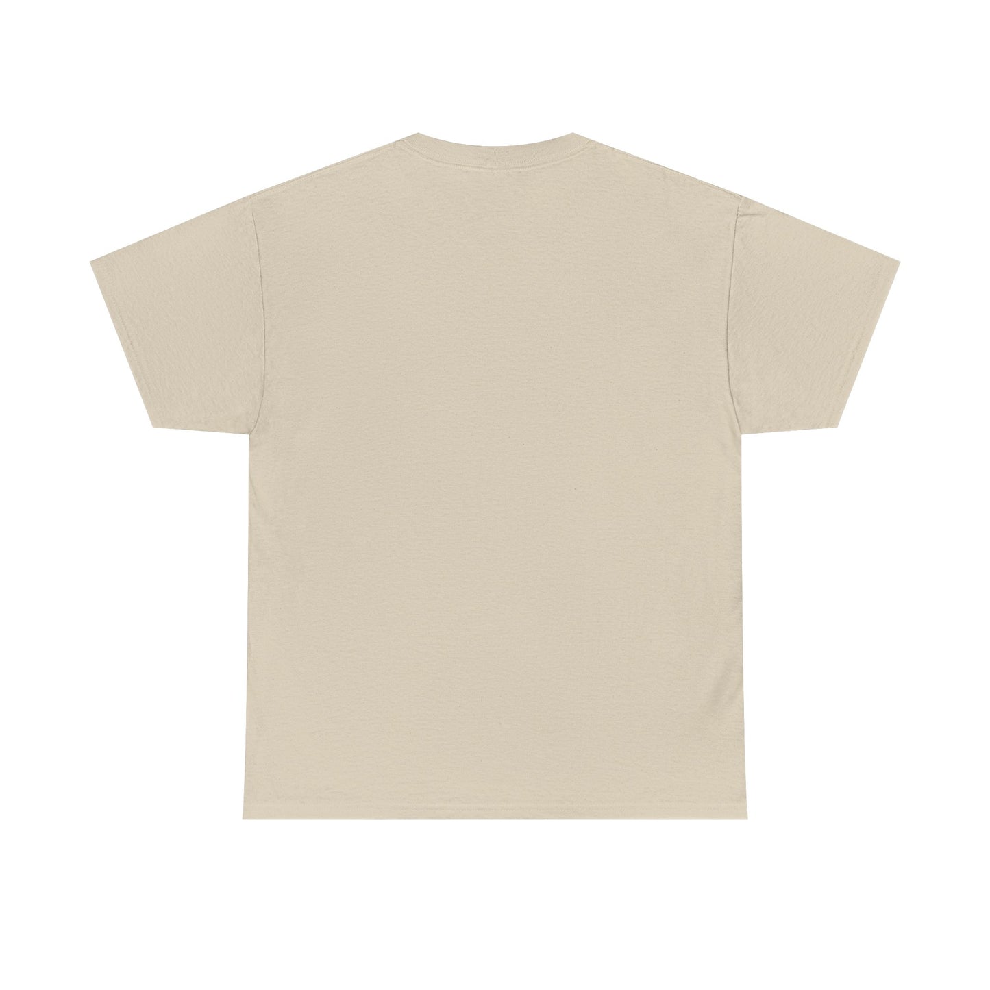 Divinely Protected T-Shirt, Spiritual Tee, Unisex Cotton Shirt|Manifestees Collection By SupremeXBeings