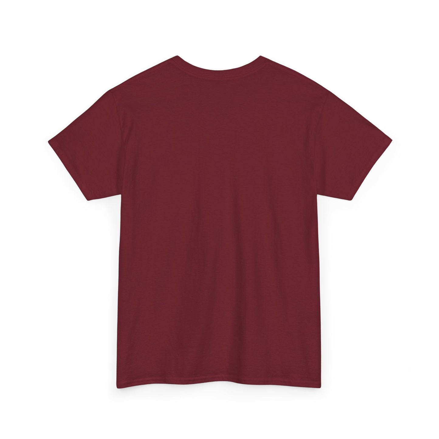 Divinely Protected T-Shirt, Spiritual Tee, Unisex Cotton Shirt|Manifestees Collection By SupremeXBeings